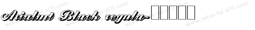 Arialmt Black regula字体转换